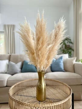 ПАМПАС ТРАВА ДЛЯ СТОЛА, ПУШИСТЫЙ, КРЕМОВЫЙ, НИЗКИЙ, 80 см