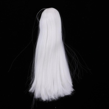 1/6 Boy BJD White Hair Head Sculpt na przegub kulowy