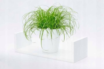 ПОДВЕСНАЯ ПОЛКА для специй, белая перекладина, боковые стороны, кухня, 50х15, дуб сонома