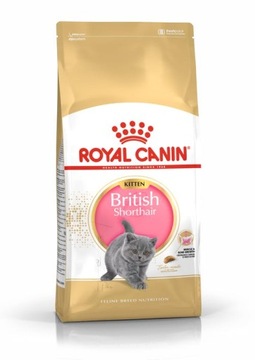Royal Canin British Shorthair Kitten 10kg