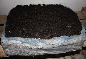 КОРИЧНЕВЫЙ ГРИБ МИКЛ+ТОРФ 24кг куб для выращивания грибов в домашних условиях