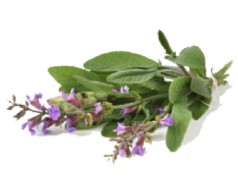 Cukierki Ziołowe VERBENA MIX 8 Smaków od GÓRALEK