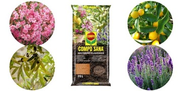 ПОЧВА ДЛЯ СРЕДИЗЕМНОМОРСКИХ РАСТЕНИЙ ОЛИВКИ ОЛЕАНДРА ЛАВАНДА ЦИТРУСОВЫЕ 20л