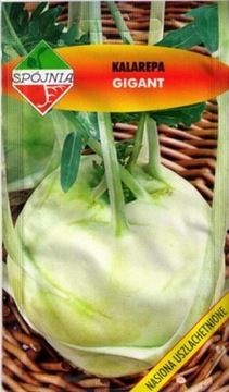 Kalarepa Gigant późna 1g