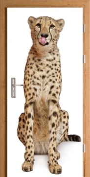 OKLEINA SAMOPRZYLEPNA NAKLEJKA NA DRZWI DZIKI KOT