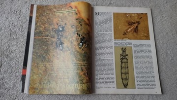 Знания и жизнь 1/1993