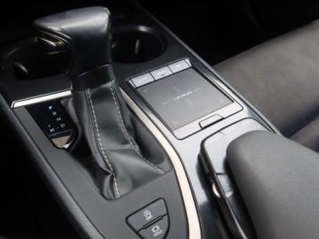 Lexus UX Crossover 200 171KM 2019 Lexus UX 200, Salon Polska, Serwis ASO, Automat, zdjęcie 19
