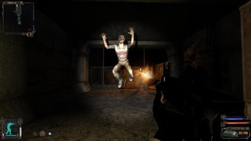 СТАЛКЕР: Тень Чернобыля PL На польском CD ключ STEAM код БЕЗ VPN