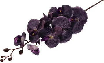 DUŻA GAŁĄZKA STORCZYK 107cm kwiaty ORCHIDEA