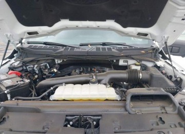 Ford 2024 Ford F150 2024, 3.5L, 4x4, XLT OFF ROAD, od ubezpieczalni 3.5 Benzyna 400KM, zdjęcie 12