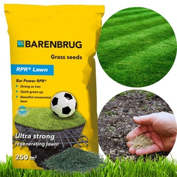 Trawa sportowa BARENBRUG RPR LAWN Play&Sport 5kg