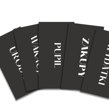 Папка для бюджета, органайзер для расходов, комплект А6.