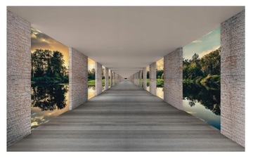 Fototapeta 3D OPTYCZNA TUNEL JEZIORO LAS 254x184