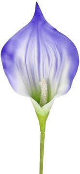 KALIA CALLA GUMOWA dł 60 cm KWIAT GAŁĄZKA