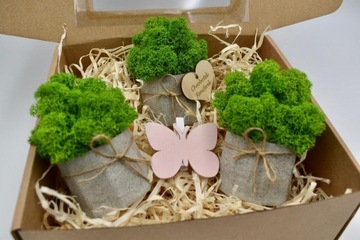 Весенний набор крабовых лесов