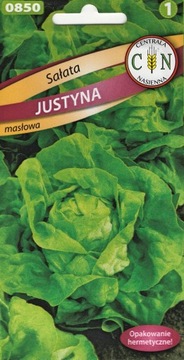 Sałata Justyna całoroczna masłowa grunt folia szklarnia pycha odporna