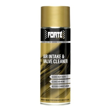 Forte Air Intake & Valve Cleaner 500 ml