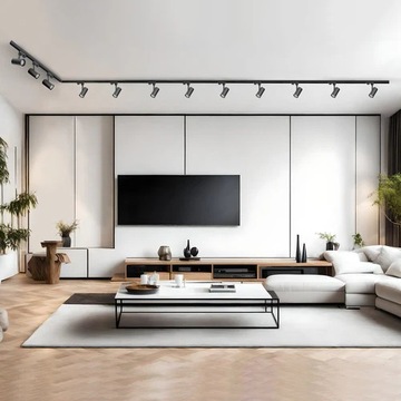 Комплект направляющих 3-фазная ЧЕРНАЯ направляющая 2 м+1 м, разъем F, комплект из 4 отражателей