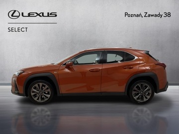 Lexus UX Crossover Facelifting 2.0 250h 184KM 2023 Lexus UX 250h GPF F Sport Design 2WD Lexus UX 250h, zdjęcie 4