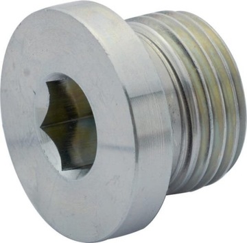 Korek z uszczelką 1/2