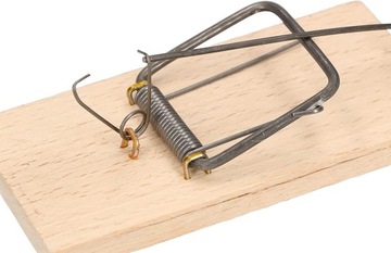 10 ДЕРЕВЯННЫХ ЛОВУШЕК ДЛЯ МЫШЕЛОВКИ