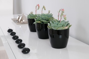 DONICZKA DONICA Z PODSTAWKĄ NA KWIATY OSŁONKA OKRĄGŁA 12 cm PLASTIK CZARNA