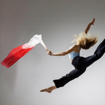 ШЕЛКОВЫЙ ВЕЕР