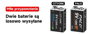 2 szt. 9V 6F22 Micro USB akumulator litowo-jonowy z kablem USB