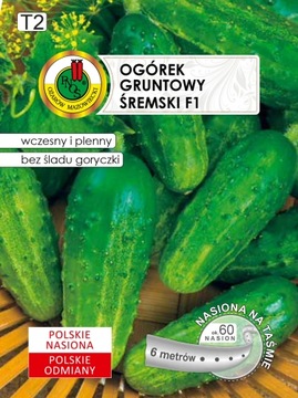 PNOS Ogórek gruntowy Śremski na taśmie 6m