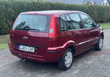 Ford Fusion 1.4 Duratec 80KM 2003 Ford Fusion 1,4 80KM KLIMA Webasto Super Stan Bezwypadkowy Serwis Oplacony, zdjęcie 6