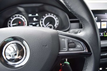 Skoda Scala Hatchback 1.6 TDI 115KM 2019 Skoda Scala SalonPL 115KM TDI AmbitionComfort LED ASO Dealer FV 23 1.6, zdjęcie 13