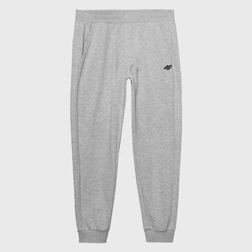 4F МУЖСКИЕ СПОРТИВНЫЕ БРЮКИ SS24