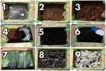 Белый гриб-мицелий, выращивание дома бесплатно 6в1