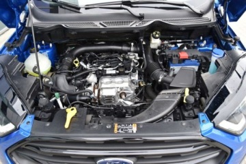 Ford Ecosport II SUV Facelifting 1.0 EcoBoost 125KM 2022 Ford EcoSport SalonPL 125KM ACTIVE Skora Podgrzew.Fotelekierownica Alu17 V, zdjęcie 36