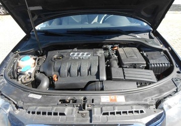 Audi A3 8P Hatchback 3d 1.9 TDI 105KM 2006 Audi A3 Sportback Audi A3 II (8P) sportbag 1.9 Diesel 105KM, zdjęcie 12