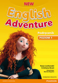 New English Adventure 1 podręcznik używany