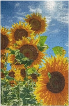 Aktywne Puzzle 1000 SZT
