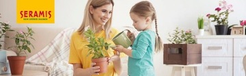СЕРАМИС ЛЭНД СТРЕЛИТИИ МОНСТРЫ АЛОКАЗИИ ФИКУС