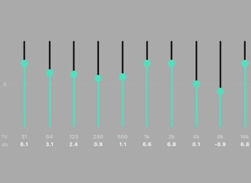 Сетевой плеер WiiM Pro Plus черный