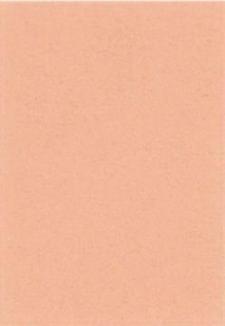 Filc dekoracyjny 1-1,2 mm 20x30cm cielisty