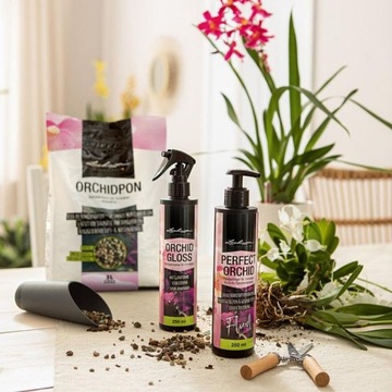 PODŁOŻE DO STORCZYKÓW LECHUZA ORCHIDPON 6L