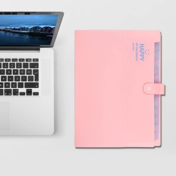 Папка для документов складная с 13 отделениями Biwuar