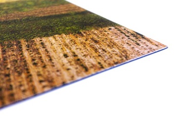 Playmats Коврик резиновый для игры Песнь Льда и Пламени 148,5х122 см Field of War