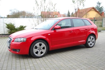 Audi A3 8P Hatchback 3d 1.6 102KM 2008 Audi A3 Sportbeck 5drzwi1.6MPI Klima Śliczna Polecami9, zdjęcie 8