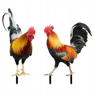Logo Kogut Ozdoba Ogrodowa Rzeźba 2 Szt