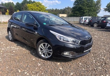 Kia Ceed II pro_cee´d 1.6 GDI 135KM 2014 Kia Ceed 1.6B 135KM klimatronik stan bdb LEDY 1.6 Benzyna 135KM, zdjęcie 11