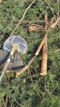 TARCZA WIDIOWA PIŁA TNĄCA DO KOSY SPALINOWEJ 255
