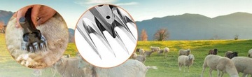 СТРИЖУЩАЯ МАШИНА ДЛЯ ОВЕЦ, КРС И СЕЛЬСКОХОЗЯЙСТВЕННЫХ ЖИВОТНЫХ 850ВТ