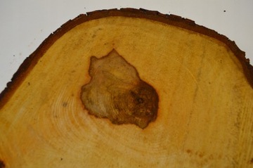 Большой выбор ломтиков каштана 45x32Gr4cm Поднос