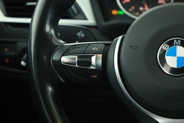 BMW X1 F48 Crossover xDrive25d 231KM 2016 BMW X1 xDrive25d, 227 KM, 4X4, Automat, Skóra, zdjęcie 14